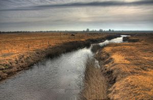 Image of the Argentine Pampas with a stream and dry grasslands, to demonstrate the landscape in January by Sara Gallardo