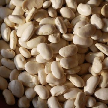 Rancho Gordo | Cassoulet (Tarbais) Bean | Boxwalla