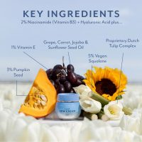 Bloomeffects Tulip Dew Cream Ingredients