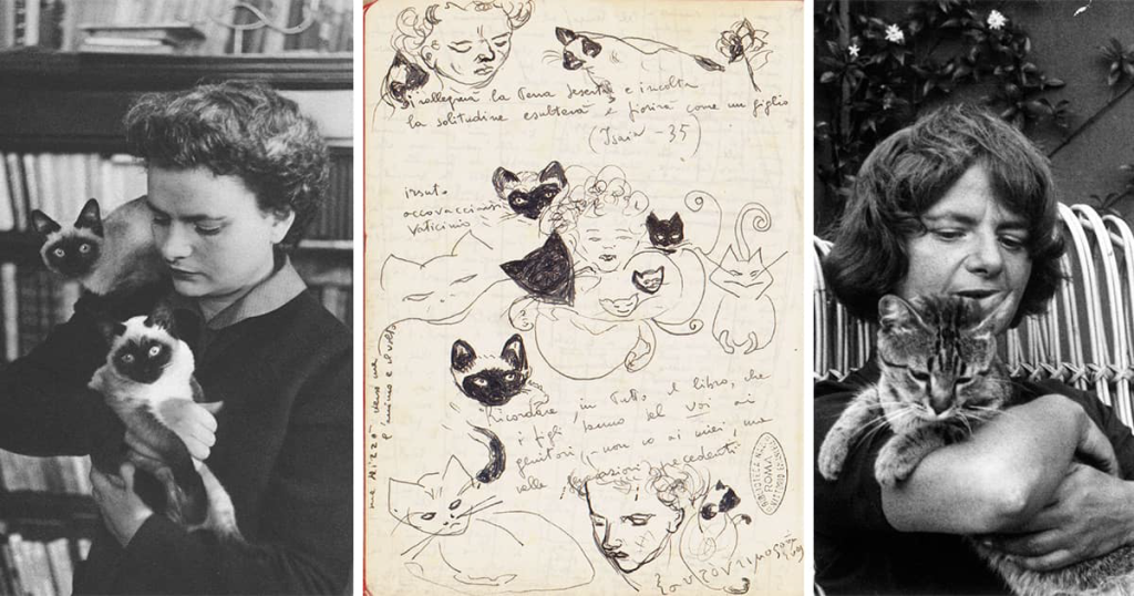 Elsa morante with her cats, as well as her illustration of cats