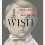 I Wish by Toon Tellegen