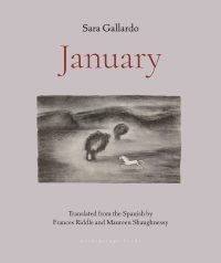 January By Sara Gallardo