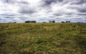 Image of the Argentine Pampas on a windy cloudy day, to demonstrate the landscape in January by Sara Gallardo