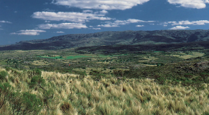 Image of the Argentine Pampas, to demonstrate the landscape in January by Sara Gallardo