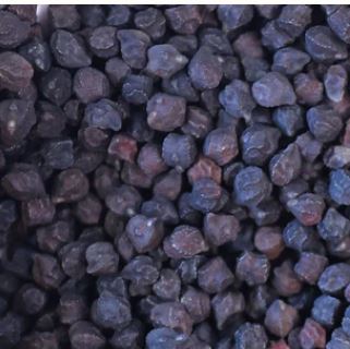 Rancho Gordo Black Garbanzo Bean