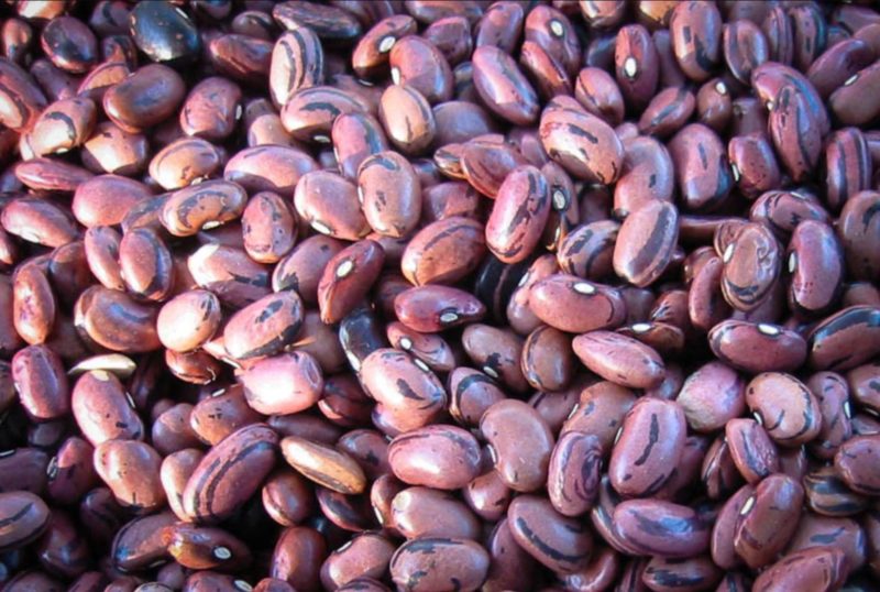 Rancho Gordo | Rio Zape Bean | Boxwalla