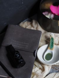 the Guardian – Mother of All Serums | Boxwalla