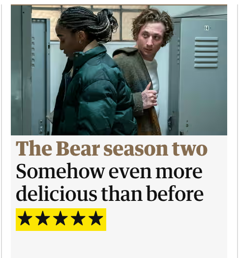 The Bear - Boxwalla